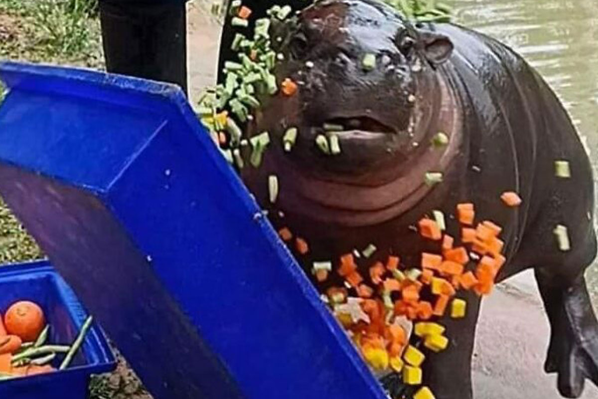 50 ‘Blessed Images’ That May Turn Your Day Around For The Better (New Pics)