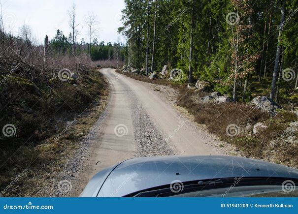 driving-gravel-road-car-front-winding-coniferous-forest-province-smaland-sweden-51941209-2786677109-6765cf8a2e0f2.jpg