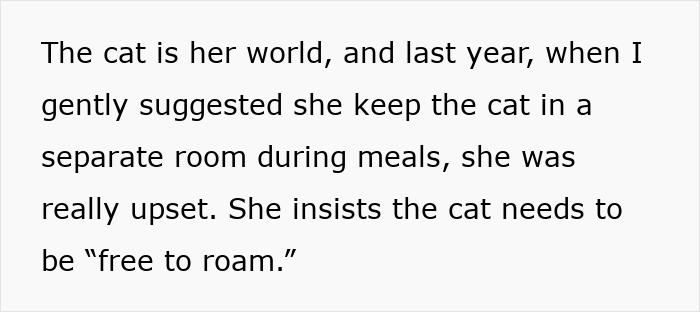 Woman Asks, "AIBU To Expect My SIL To Keep Her Aggressive Cat Away During Xmas?"