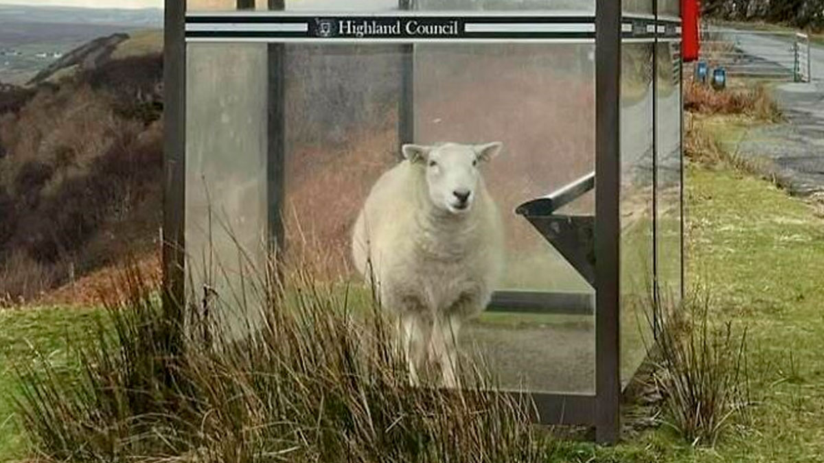 40 Posts That Perfectly Sum Up Scotland And Its People40 Posts That Perfectly Sum Up Scotland And Its People