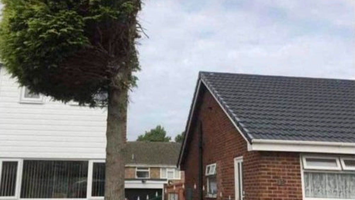 50 Hilarious Tweets That Showcase Trademark British Humor