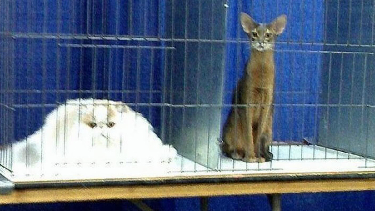 35 Scientifically Proven Memes For Those With An Intellectual Sense Of Humor