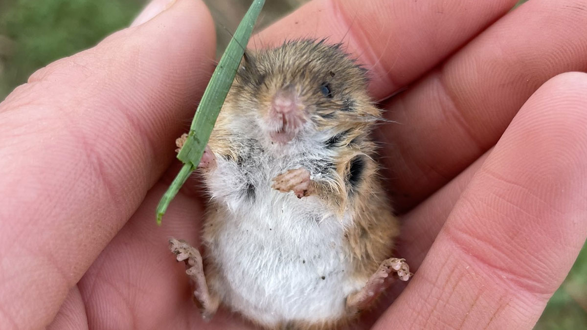 40 Memes That Capture Humor, Chaos, And Everything In Between