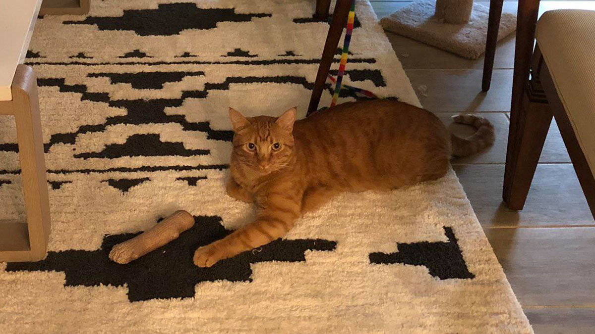 50 Funny Posts That Have No Business Being So Spot-On