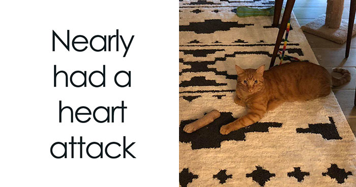 Sick Laughs: 80 Random Memes That Have No Business Being This Funny