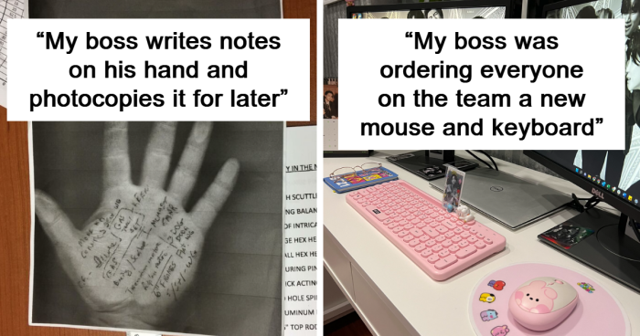50 Wholesome And Funny Bosses Who Put Their Employees First (New Pics ...