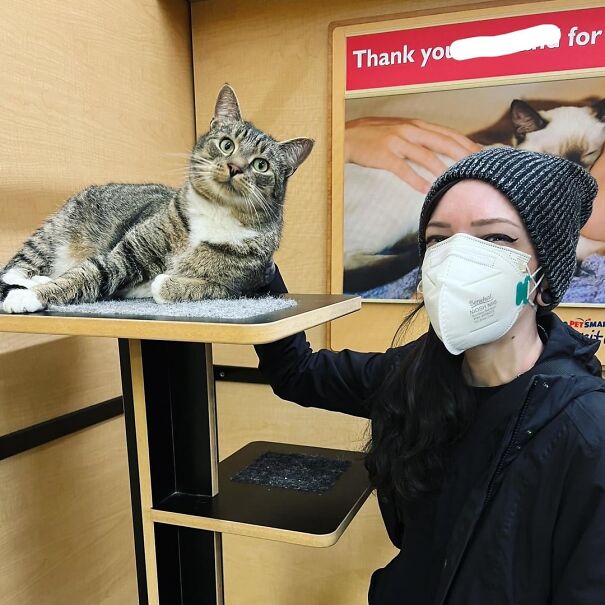 A happy cat lounging on a shelf beside a person in a mask, showcasing pure happiness.
