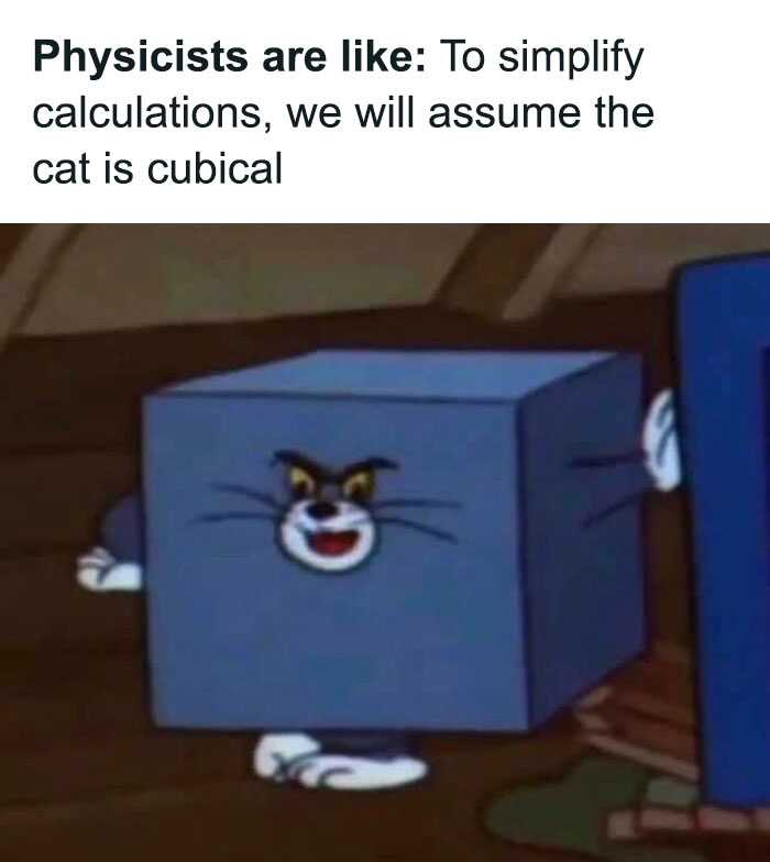 Cube-shaped cartoon cat humorously illustrating a physics joke about simplification.