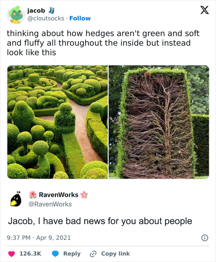 40 Hilarious ‘Science Memes’ That Do Not Require A PhD (New Pics ...