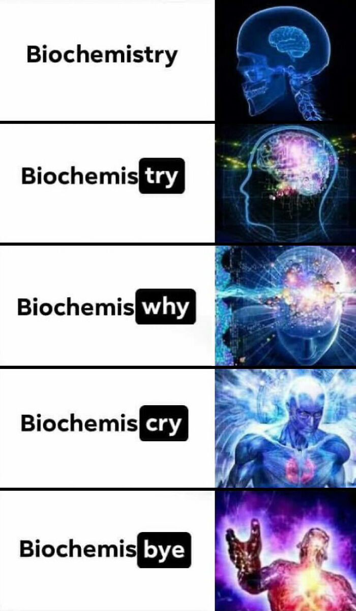Stack of biochemistry memes evolving from "try" to "bye" with increasingly cosmic brain images.