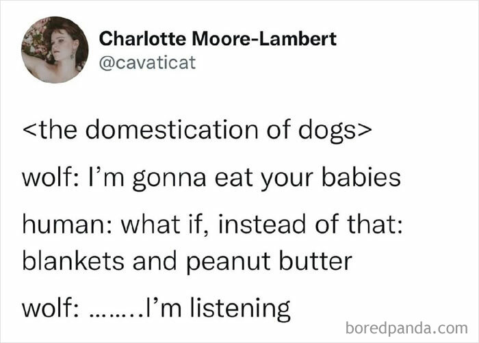 Science memes: a humorous take on dog domestication featuring a wolf and human exchange about blankets and peanut butter.