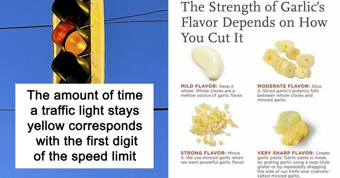 “How Everything Works”: 30 Pics From This Page That Will Probably Teach ...