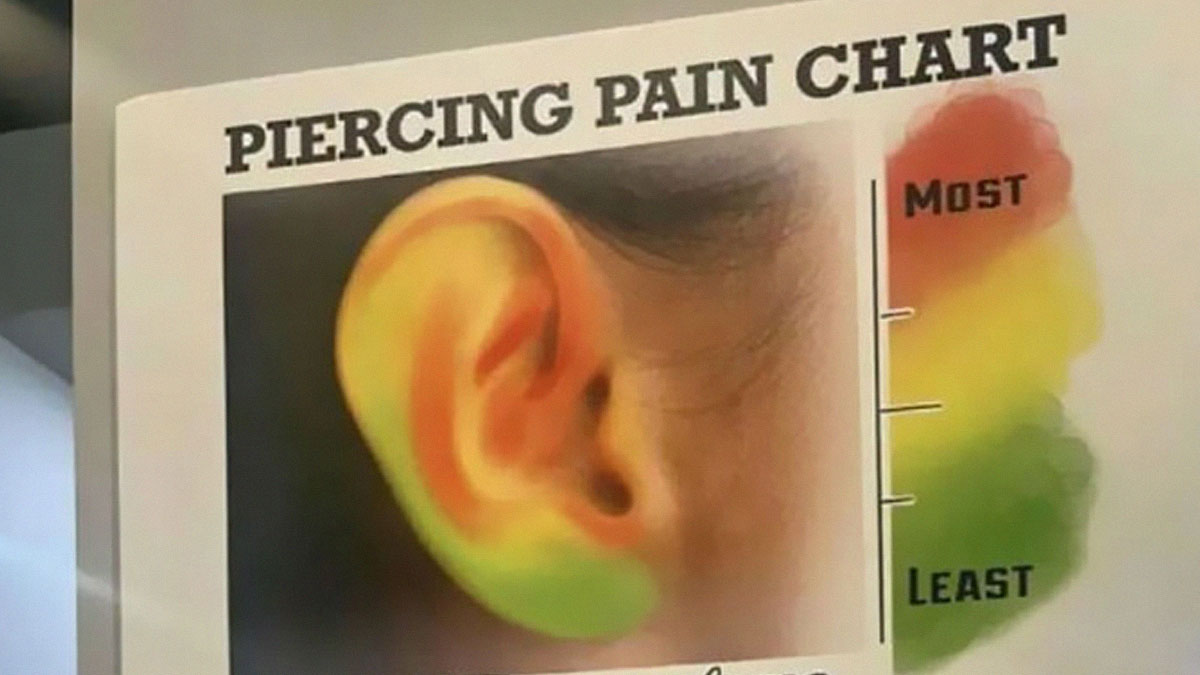 “How Everything Works”: 30 Pics From This Page That Will Probably Teach You Something New