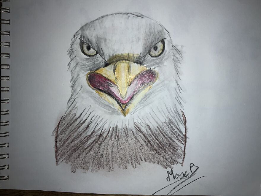 Drawing Of Eagle Drawing Of Eagle