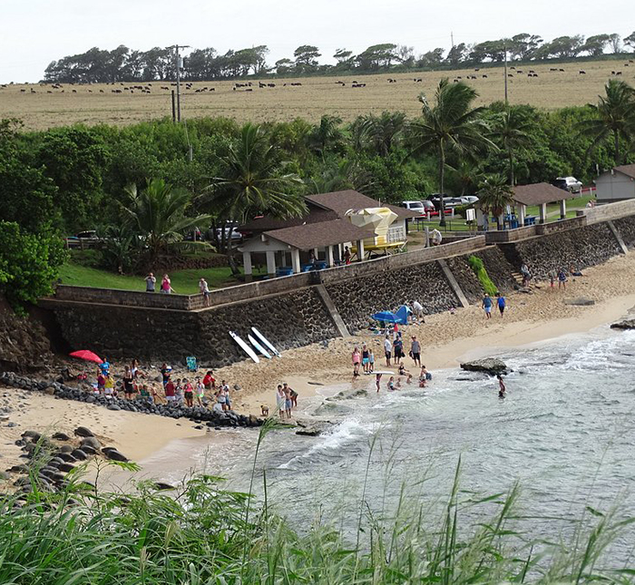 “Lots Of Fraud”: Hannah Kobayashi’s Fake Marriage And Alleged Scam Before Disappearance Exposed “Lots Of Fraud”: Hannah Kobayashi’s Fake Marriage And Alleged Scam Before Disappearance Exposed