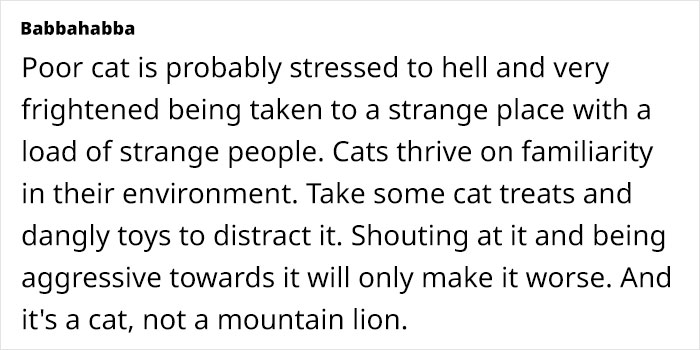 Text discussing a cat's stress from being in a new environment with unfamiliar people. Text discussing a cat's stress from being in a new environment with unfamiliar people.