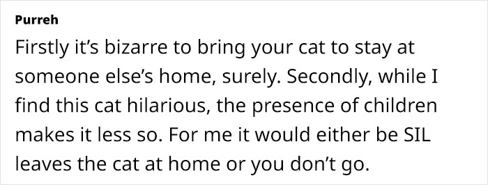 Text expressing views on bringing a hostile cat to family Christmas gatherings. Text expressing views on bringing a hostile cat to family Christmas gatherings.