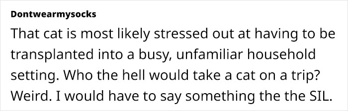 Comment discussing a stressed cat being brought to an unfamiliar household during Xmas. Comment discussing a stressed cat being brought to an unfamiliar household during Xmas.
