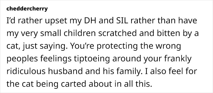 Text post about a SIL refusing to leave a hostile cat alone during Christmas, causing family conflict. Text post about a SIL refusing to leave a hostile cat alone during Christmas, causing family conflict.