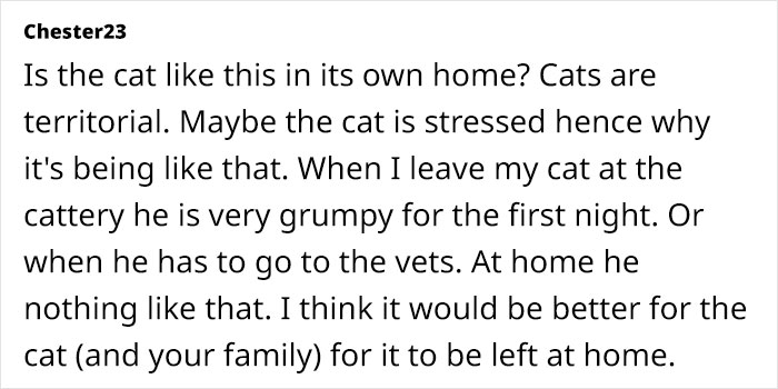 Comment discussing a cat's territorial behavior and stress, suggesting it might be better left at home during Xmas. Comment discussing a cat's territorial behavior and stress, suggesting it might be better left at home during Xmas.