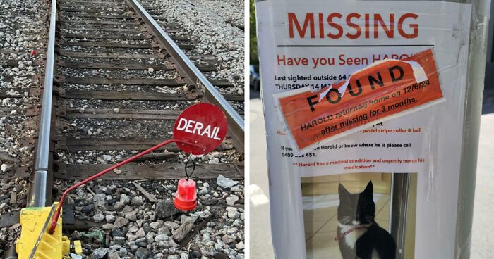 50 次人們看到一些「有點有趣」的東西,並知道最好的分享群體(新圖片)