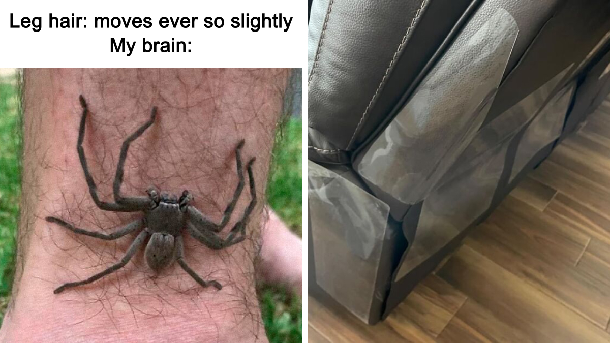 23 Items That Prove That Prevention Is Better Than A Cure