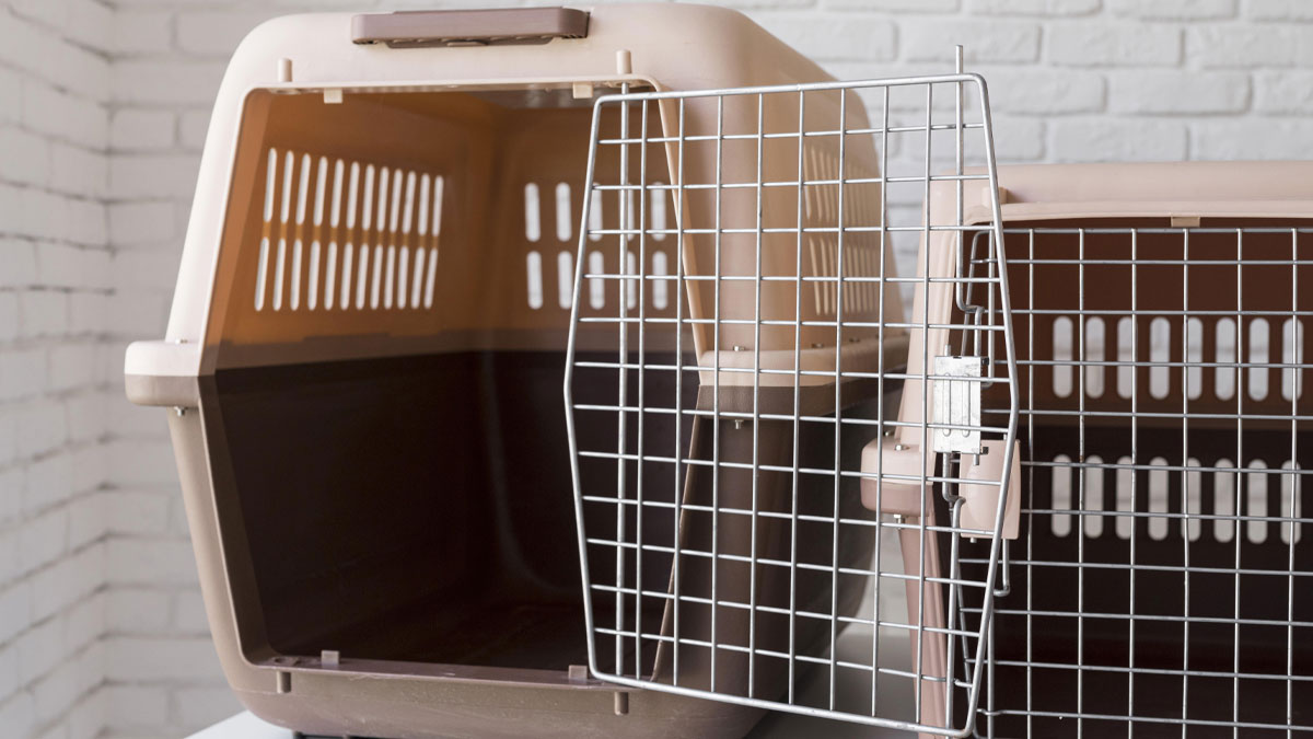 “Nobody Dies From A Shot To The Stomach”: 30 People Discuss Their Crazy Near-Death Experiences