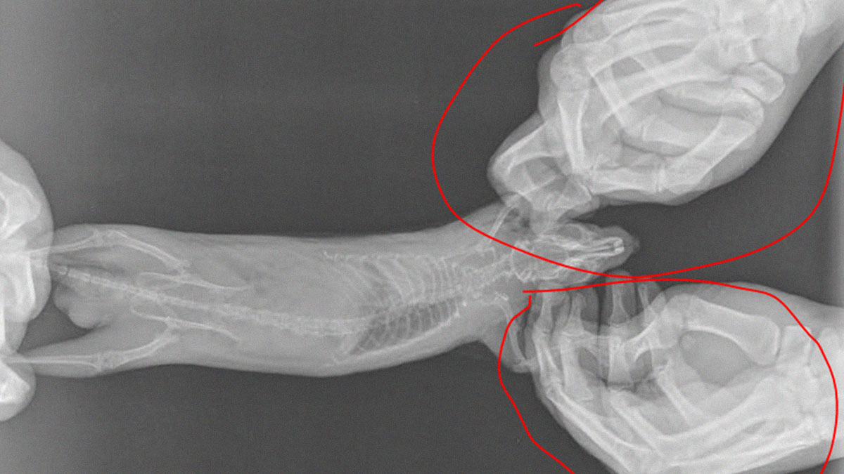 30 Pics That Have Nothing Interesting About Them, Seriously, Nothing (New Pics)