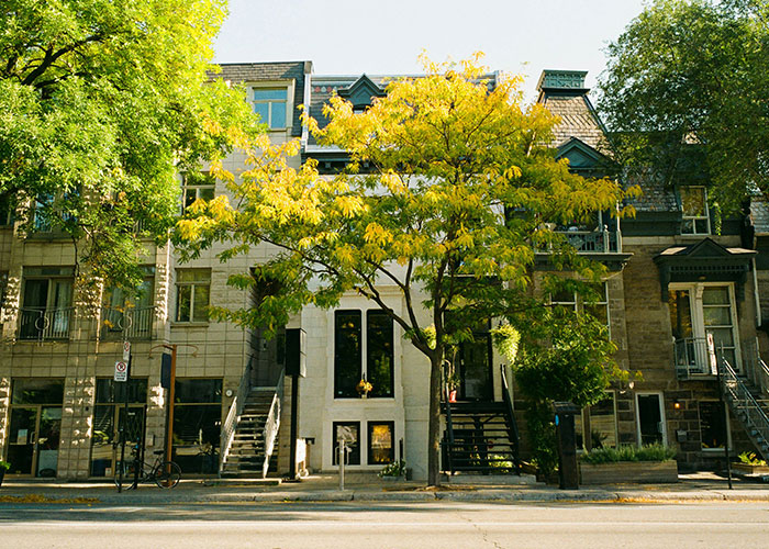 Historic buildings with trees in a quiet neighborhood, representing persistent Mormons' influence on local architecture. Historic buildings with trees in a quiet neighborhood, representing persistent Mormons' influence on local architecture.