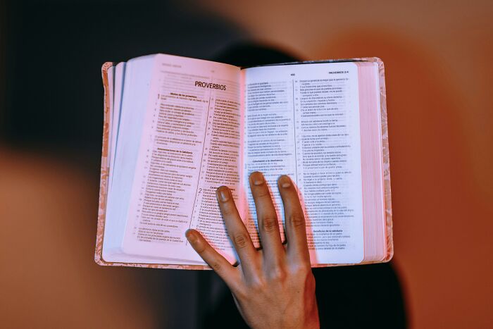A hand holding an open book in a warm-lit room, symbolizing translation across 18 languages. A hand holding an open book in a warm-lit room, symbolizing translation across 18 languages.
