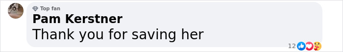 Comment expressing gratitude for saving a once desperate shelter dog. Comment expressing gratitude for saving a once desperate shelter dog.