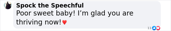 Comment expressing joy for a once desperate shelter dog now thriving and loved. Comment expressing joy for a once desperate shelter dog now thriving and loved.