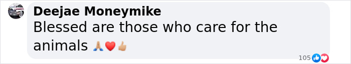 Comment celebrating care for animals with emojis, showing netizens' joy. Comment celebrating care for animals with emojis, showing netizens' joy.