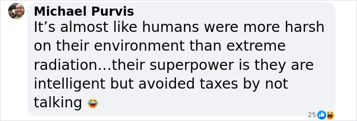 Comment discussing Chornobyl dogs' survival skills and environment. Comment discussing Chornobyl dogs' survival skills and environment.