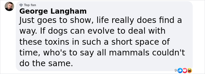 Comment about genetic differences in Chornobyl dogs adapting to toxins. Comment about genetic differences in Chornobyl dogs adapting to toxins.