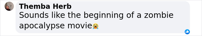 Comment by Themba Herb about zombie apocalypse movie scenario. Comment by Themba Herb about zombie apocalypse movie scenario.
