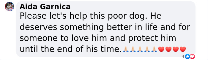 Comment urging adoption of a 12-year-old rescued pup from harsh conditions, expressing love and support with emojis. Comment urging adoption of a 12-year-old rescued pup from harsh conditions, expressing love and support with emojis.
