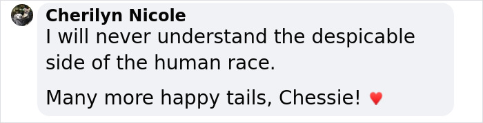 Text message from Cherilyn Nicole praising the rescued 12-year-old pup, Chessie. Text message from Cherilyn Nicole praising the rescued 12-year-old pup, Chessie.
