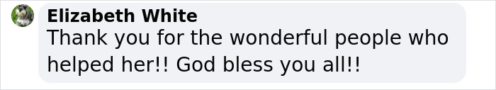 "Heartfelt message from Elizabeth White thanking rescuers of 12-year-old pup. "Heartfelt message from Elizabeth White thanking rescuers of 12-year-old pup.