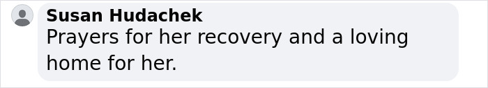 Comment wishing recovery and adoption for a rescued 12-year-old pup. Comment wishing recovery and adoption for a rescued 12-year-old pup.