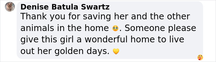 Comment from Denise thanking rescuers and urging adoption of a 12-year-old pup saved from hellish conditions. Comment from Denise thanking rescuers and urging adoption of a 12-year-old pup saved from hellish conditions.