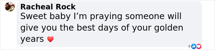 Comment expressing hope for the adoption of a 12-year-old rescued pup. Comment expressing hope for the adoption of a 12-year-old rescued pup.