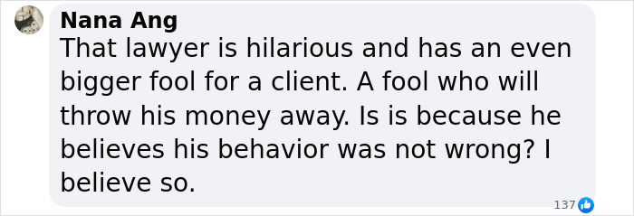 Comment discussing Justin Baldoni’s lawyer, questioning the client’s judgment and behavior. Comment discussing Justin Baldoni’s lawyer, questioning the client’s judgment and behavior.