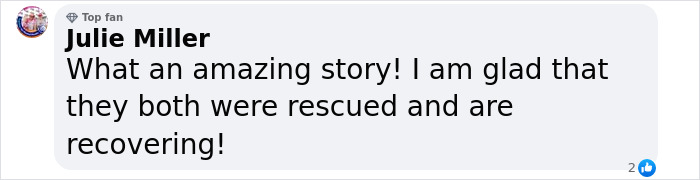 "Julie Miller's comment expressing joy over the rescue of a man and kitten trapped in a mountain ravine. "Julie Miller's comment expressing joy over the rescue of a man and kitten trapped in a mountain ravine.