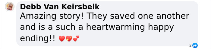 "Amazing story comment about man and kitten surviving together in a mountain ravine. "Amazing story comment about man and kitten surviving together in a mountain ravine.