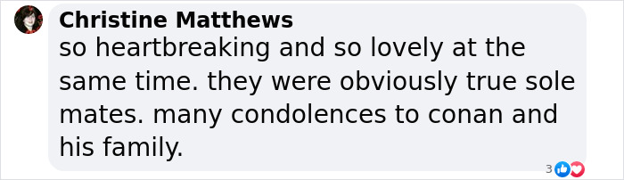 "Heartbreaking": Conan O’Brien’s Parents Pass Away Just 3 Days Apart After 66 Years Together "Heartbreaking": Conan O’Brien’s Parents Pass Away Just 3 Days Apart After 66 Years Together