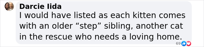 Plush-Like Curly Kittens Got Adopted In Record Time Due To Their Irresistibly Cute Appearance Plush-Like Curly Kittens Got Adopted In Record Time Due To Their Irresistibly Cute Appearance