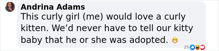 Plush-Like Curly Kittens Got Adopted In Record Time Due To Their Irresistibly Cute Appearance Plush-Like Curly Kittens Got Adopted In Record Time Due To Their Irresistibly Cute Appearance