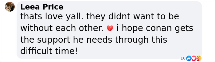 "Heartbreaking": Conan O’Brien’s Parents Pass Away Just 3 Days Apart After 66 Years Together "Heartbreaking": Conan O’Brien’s Parents Pass Away Just 3 Days Apart After 66 Years Together