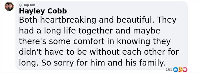 "Heartbreaking": Conan O’Brien’s Parents Pass Away Just 3 Days Apart After 66 Years Together "Heartbreaking": Conan O’Brien’s Parents Pass Away Just 3 Days Apart After 66 Years Together